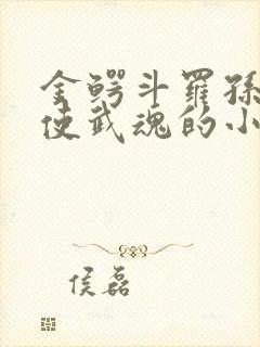 金鳄斗罗孙子天使武魂的小说