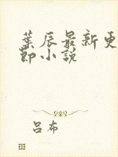 叶辰最新更新章节小说