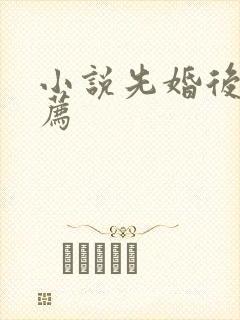 小说先婚后爱推荐