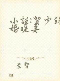 小说:贺少的闪婚暖妻