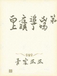 白夜追凶第二季上映了吗