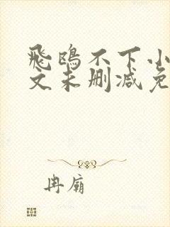 飞鸥不下小说全文未删减免费阅读