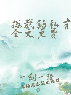 总裁的私有宝贝全文免费