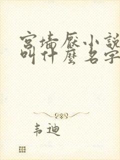 宫墙厌小说原著叫什么名字