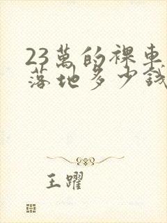 23万的裸车价落地多少钱