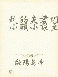 我的夫君们by小顾小说免费阅读