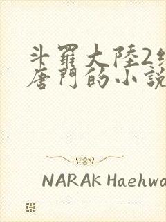 斗罗大陆2绝世唐门的小说