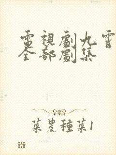 电视剧九霄龙帅全部剧集