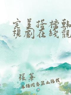 完美搭档韩剧电视剧在线观看全集高清