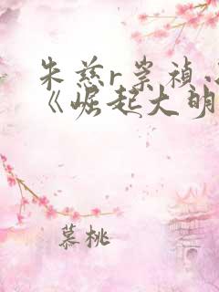 朱慈r崇祯小说《崛起大明》全文免费阅读