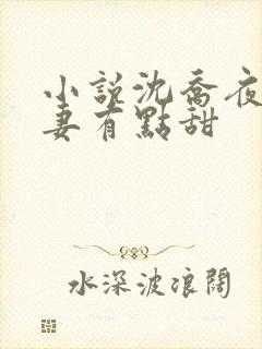 小说沈乔夜少娇妻有点甜