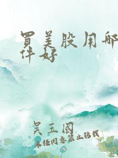 买美股用哪个软件好