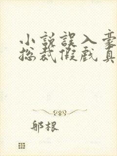 小说误入豪门,总裁假戏真做结局