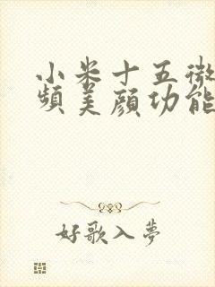 小米十五微信视频美颜功能在哪里