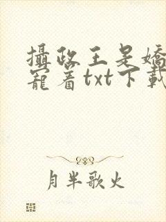 摄政王是娇病得宠着txt下载