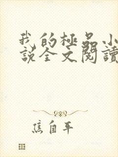 我的极品小姨小说全文阅读免费