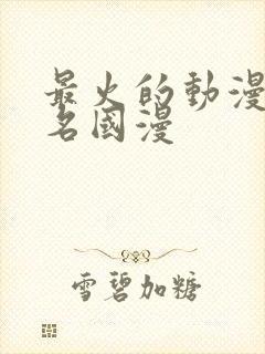 最火的动漫前十名国漫