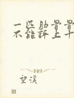 一匹肋骨骨折能不能评上十级伤残