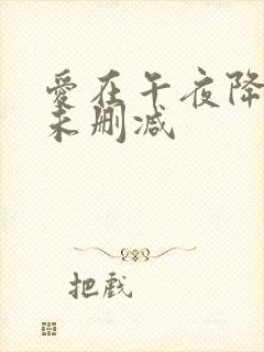 爱在午夜降临前未删减