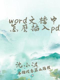 word文档中怎么插入pdf文件