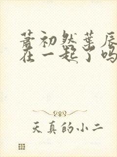 萧初然叶辰最后在一起了吗