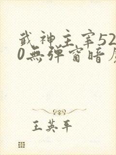 武神主宰5200无弹窗暗魔师