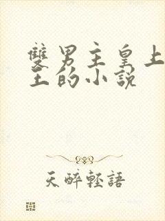 双男主皇上摄政王的小说