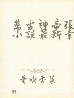 万古神帝张若尘小说最新章节在线