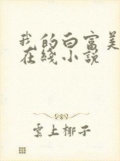 我的白富美老婆在线小说