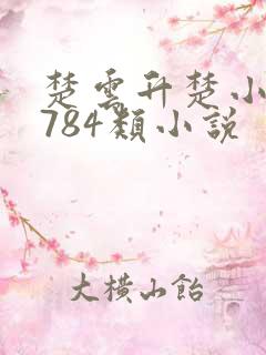 楚云升楚小小1784类小说