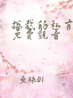 总裁的私有宝贝免费观看