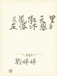 《凤傲天里黄毛反派沐恩》小说