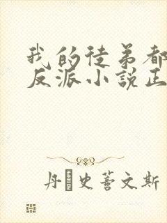 我的徒弟都是大反派小说正版免费