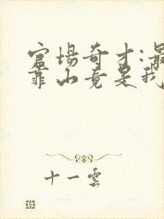 官场奇才:最强靠山竟是我自己李澜小说最