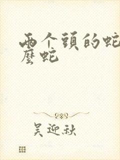 两个头的蛇叫什么蛇