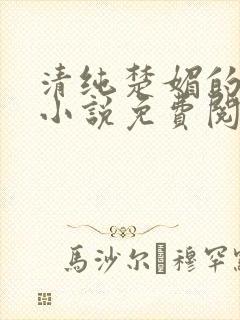 清纯楚媚的快穿小说免费阅读