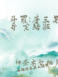 斗罗:唐三是我哥 完结版