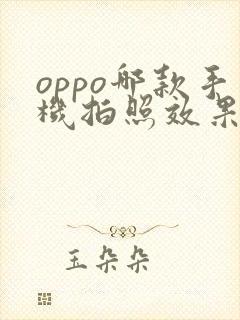 oppo哪款手机拍照效果最好性价比高