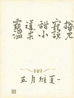 霸道甜宠总裁请温柔小说免费阅读