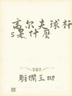 高尔夫球杆上 s是什么