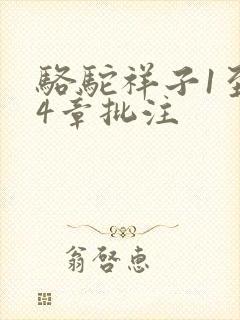 骆驼祥子1至24章批注