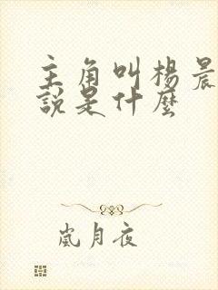 主角叫杨晨的小说是什么