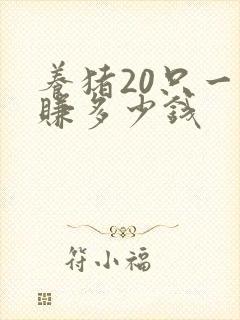 养猪20只一年赚多少钱