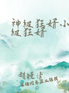 神级狂婿小说神级狂婿