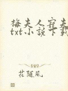 梅夫人宠夫日常txt小说下载