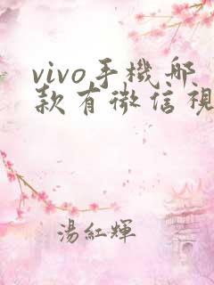 vivo手机哪款有微信视频美颜功能