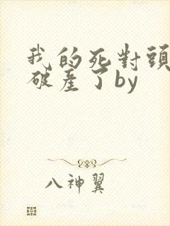 我的死对头终于破产了by