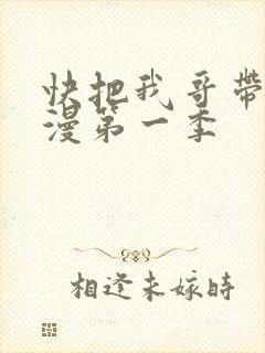 快把我哥带走动漫第一季