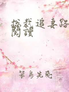 总裁追妻路漫漫阅读