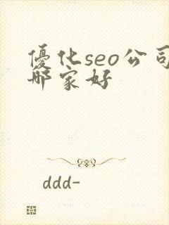 优化seo公司哪家好